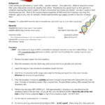 Strawberry Dna Spooling Lab In Strawberry Dna Extraction Lab Worksheet