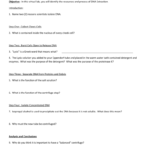 Student Web Quest Dna Extraction Source Also Dna Extraction Virtual Lab Worksheet