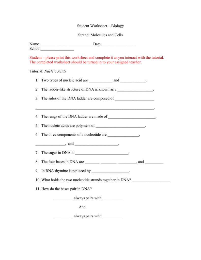 Student Worksheet For Nucleic Acids Also Nucleic Acids Worksheet