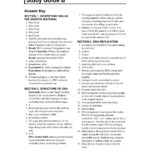 Study Guide B  Independent School District 196 Pages 1  17  Text Also Chapter 11 Dna And Genes Worksheet Answers