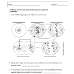 Sw Science 10 Unit 1 Mitosis Worksheet With Onion Cell Mitosis Worksheet Key