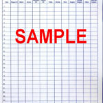 Team Golf Gear: Easy Golf Score Book: Golf Coaches Scoring Book For Golf Stats Spreadsheet