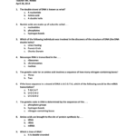 Test 4 Dna Replication Transcription And Translation With Regard To Dna Replication And Rna Transcription Worksheet Answers
