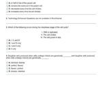 The Amoeba Sisters The Cell Cycle And Cancer Video Worksheet Throughout Cell Cycle And Cancer Worksheet Answers
