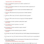 The Cell Cycle Coloring Worksheet Answers Algebra 1 Worksheets And Specific Heat Worksheet Answers