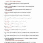 The Cell Cycle Coloring Worksheet Answers Algebra 1 Worksheets Regarding Cell Cycle Coloring Worksheet Answer Key
