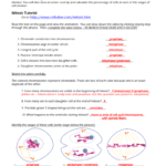 The Cell Cycle The Cell Cycle  Internet Lesson  Burgess Along With Cells Alive Cell Cycle Worksheet Answer Key