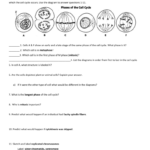 The Cell Cycle Worksheet  Manhasset Public Schools Also Cell Division Worksheet Answers