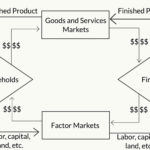 The Circularflow Model Of The Economy Within Circular Flow Of Economic Activity Worksheet Answers