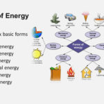 The Hidden Agenda Of Energy Forms And  Form Information And Energy Forms And Changes Simulation Worksheet Answers