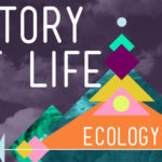 The History Of Life On Earth  Crash Course Ecology  Pbs For The History Of Life On Earth Worksheet Answers