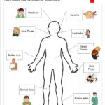 The Human Body – Anatomy For Kids – Inventors Of Tomorrow Pertaining To Inside The Living Body Worksheet Answers