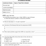 The Immune System And Disease  Pdf Along With Chapter 24 The Immune System And Disease Worksheet Answer Key
