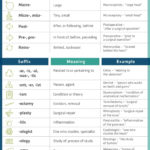 The Medical Terminology “Cheat Sheet” Every Healthcare Pro Needs And Medical Terminology Prefixes Worksheet