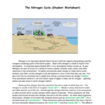 The Nitrogen Cycle Student Worksheet Also Nitrogen Cycle Worksheet Answer Key