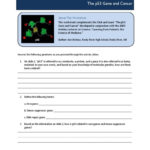 The P53 Gene And Cancer Student Worksheet Answers  Briefencounters Or The P53 Gene And Cancer Student Worksheet Answers