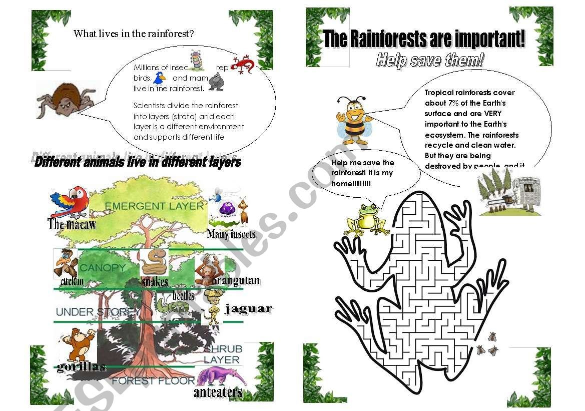 The Rainforest Part 2  Esl Worksheetsashatiede With Layers Of The Rainforest Worksheet