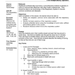 The Respiratory System Regarding Respiratory System Medical Terminology Worksheet