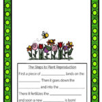 The Steps To Plants Reproduction  Interactive Worksheet Along With Plant Reproduction Worksheet