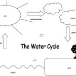 The Water Cycle Worksheet Answers  Briefencounters As Well As The Water Cycle Worksheet Answer Key