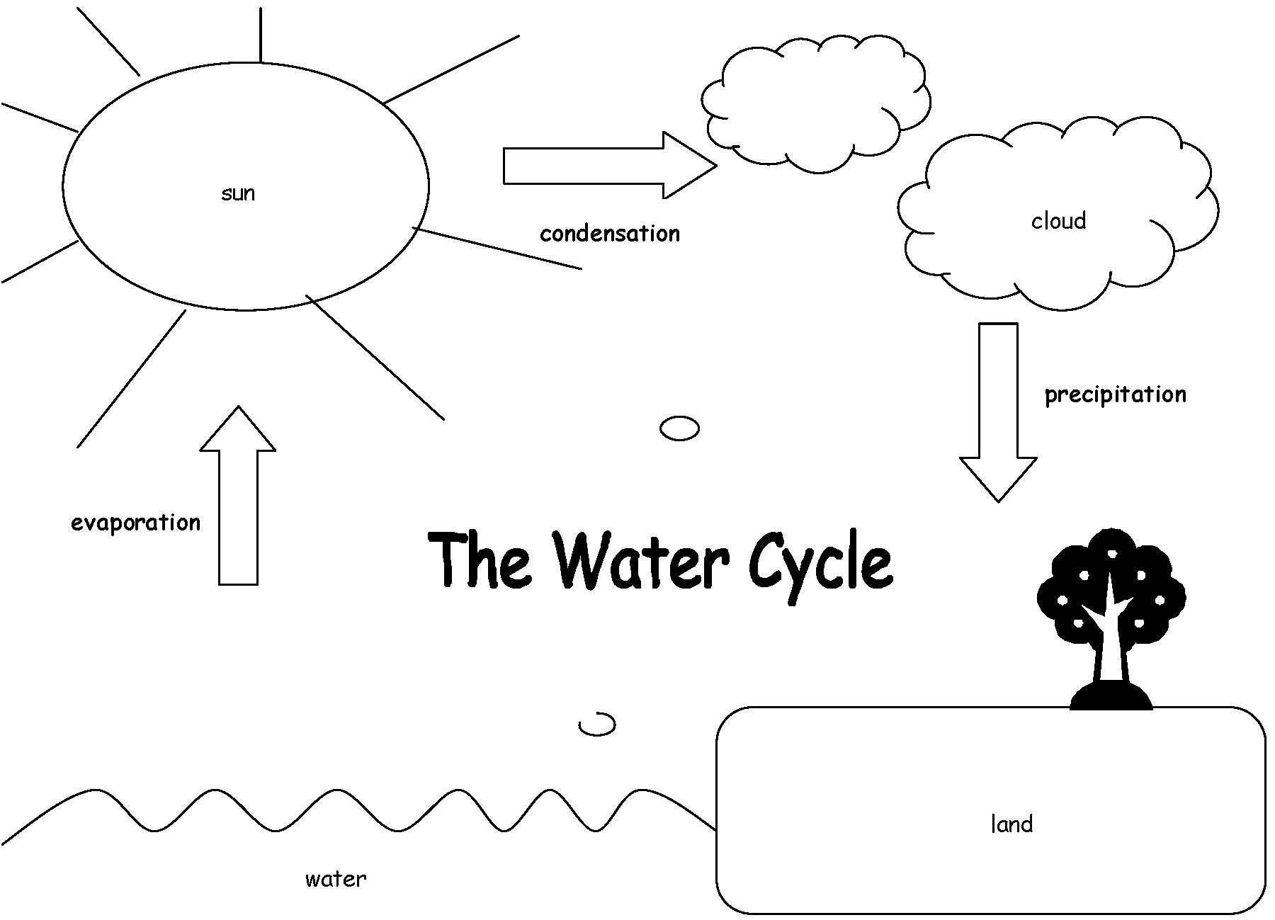 The Water Cycle Worksheet Answers  Briefencounters As Well As Water Cycle Worksheet Pdf