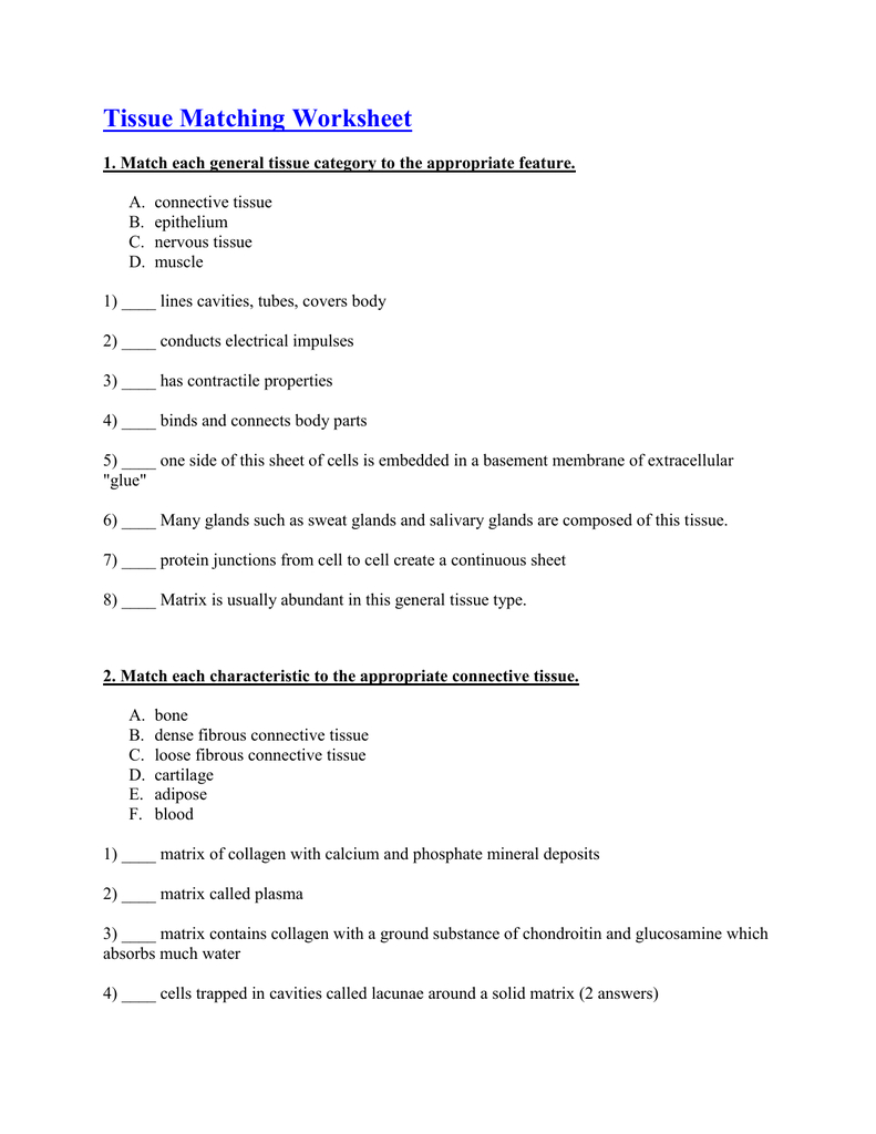 Tissue Matching Worksheet  Belle Vernon Area School District With Tissue Worksheet Anatomy Answers
