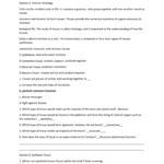 Tissue Worksheet Name Section A Intro To For Tissue Worksheet Section A Intro To Histology