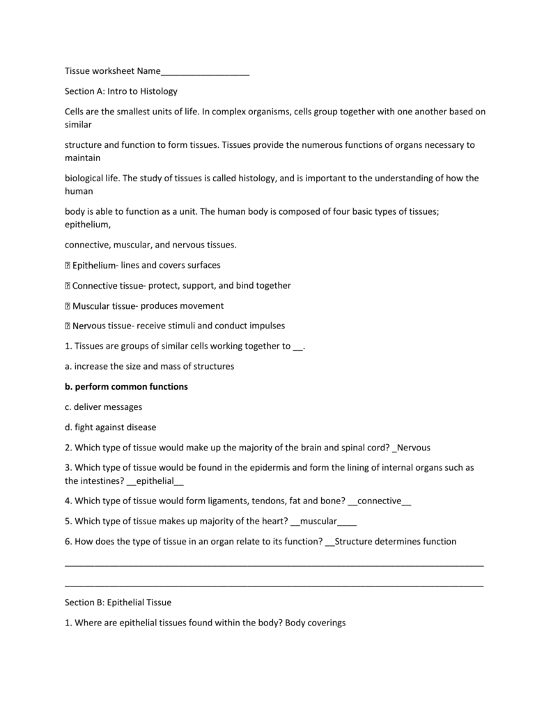 Tissue Worksheet Name Section A Intro To For Tissue Worksheet Section A Intro To Histology