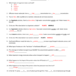 Topic 3 4 Viewing Guide Key Pertaining To Chapter 7 Section 4 Cellular Transport Worksheet Answers