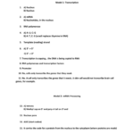 Transcription Pogil Key Also Control Of Gene Expression In Prokaryotes Pogil Worksheet Answers