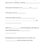 Transcription Worksheet And Answer Key Or Dna Replication And Transcription Worksheet Answers
