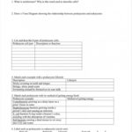 Transport In Cells Worksheet Answers  Briefencounters With Transport In Cells Worksheet Answers