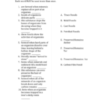 Types Of Fossils Worksheet With Fossil Formation Worksheet