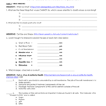 Understanding Virus And Bacteria Webquest With Virus And Bacteria Worksheet Answer Key