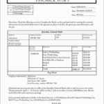 Unique Free Pay Stub Template With Calculator  Best Of Template Inside Reading A Pay Stub Worksheet