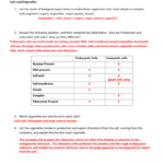 Unit 3  Cells And Cell Transport Review Worksheet 2014Honors Pertaining To Cell Transport Review Worksheet