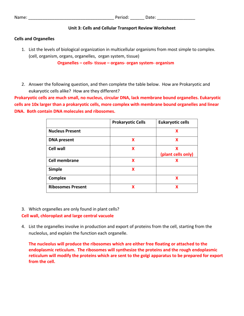 Unit 3  Cells And Cell Transport Review Worksheet 2014Honors With Levels Of Biological Organization Worksheet