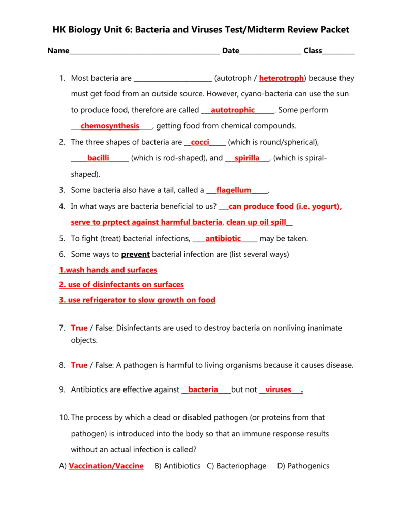 Unit 6 Bacteria Nd Viruses Review Sheethonors Answer Key As Well As Virus And Bacteria Worksheet Answers