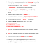 Unit 6 Bacteria Nd Viruses Review Sheethonors Answer Key Or Characteristics Of Bacteria Worksheet Answer Key