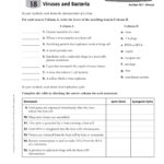 Unit  6 Viruses Bacteria Protists And Fungi Pages 1  13  Text In Virus And Bacteria Worksheet Answers