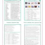 Us Government And Citizenship Combo Activity Worksheets Intended For Citizenship In The Community Worksheet