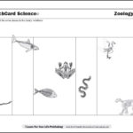 Vertebrate Worksheets For Kids With Regard To Free Animal Classification Worksheets