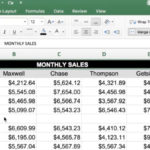Video How To Quickly Delete Blank Rows In Excel Pertaining To Blank Checks Worksheet