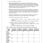 Virtual Lab Answers And Virtual Lab The Cell Cycle And Cancer Worksheet Answers