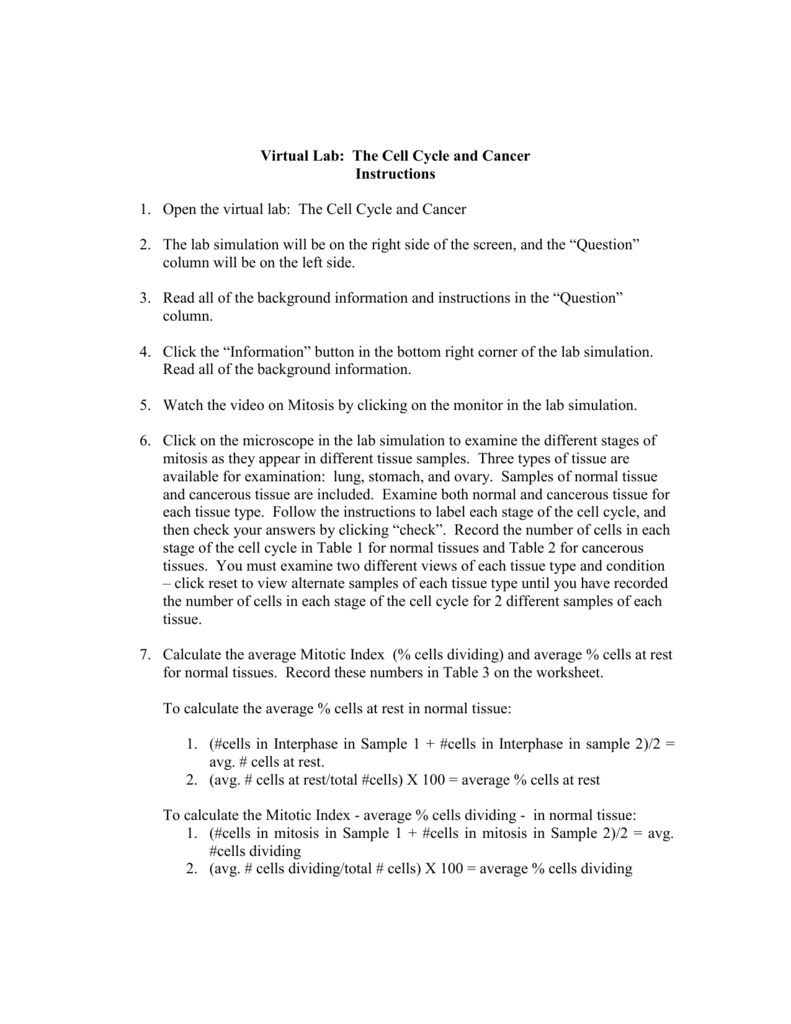 Virtual Lab The Cell Cycle And Cancer And The Cell Cycle And Cancer Worksheet
