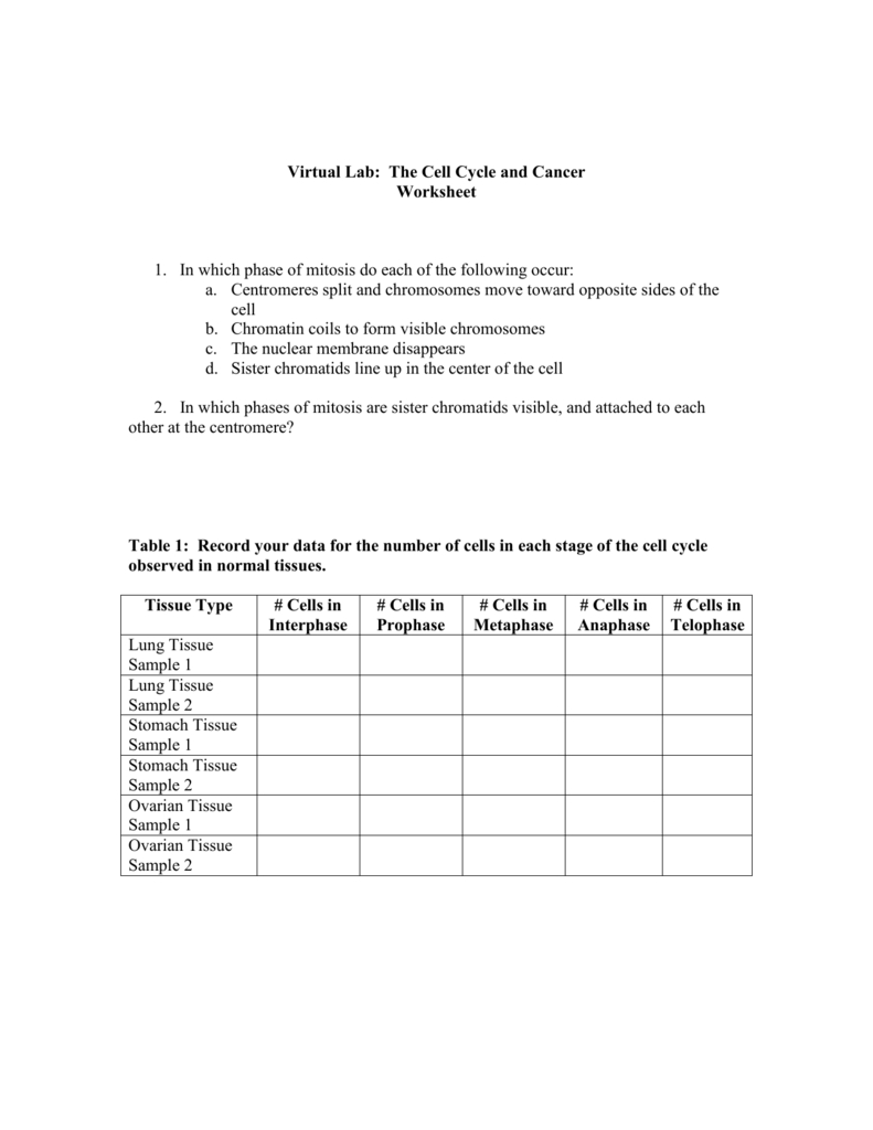 Virtual Lab The Cell Cycle And Cancer For The Cell Cycle And Cancer Worksheet