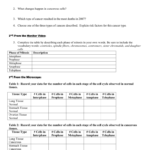 Virtual Lab The Cell Cycle And Cancer For Virtual Lab The Cell Cycle And Cancer Worksheet Answers