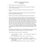 Virtual Lab The Cell Cycle And Cancer Pertaining To Cell Cycle And Cancer Worksheet Answers
