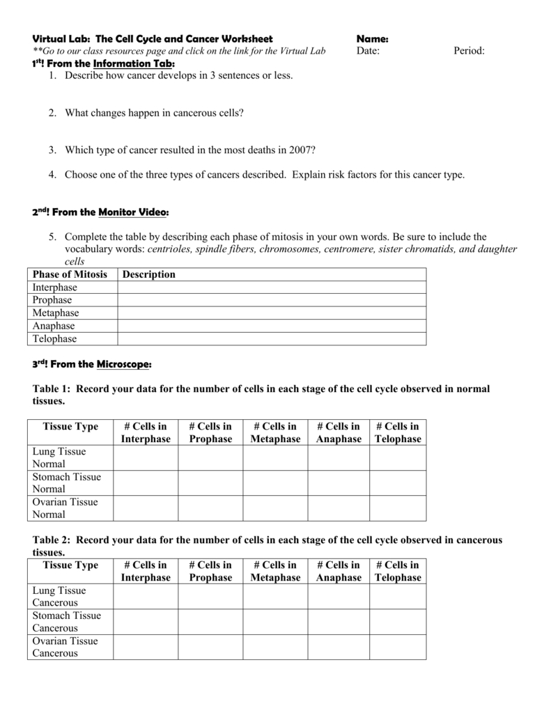 Virtual Lab The Cell Cycle And Cancer Pertaining To Cell Cycle And Cancer Worksheet Answers