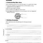 Virus And Bacteria Worksheet Acids And Bases Worksheet Reflection For Virus And Bacteria Worksheet Key